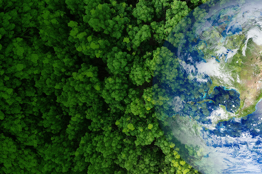 Green Transition: From Global Responsibility to National Enforcement  under the New Climate Law